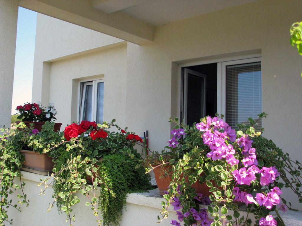 Apartments 255 Grebaštica Extérieur photo